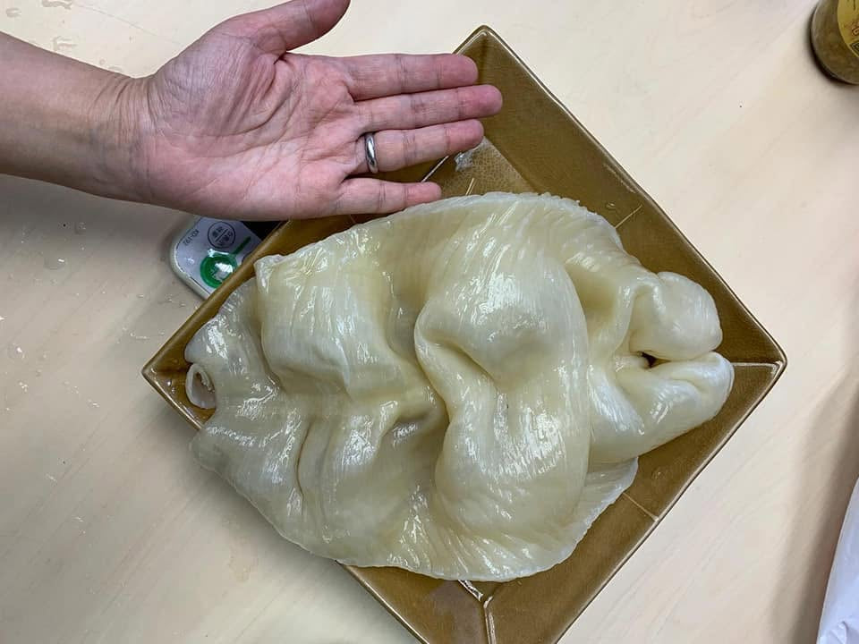 頂級花膠正確泡發程序｜粵式參茸海味專業處理