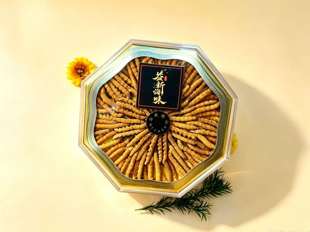 野生西藏那曲冬蟲夏草 - 六角形禮盒