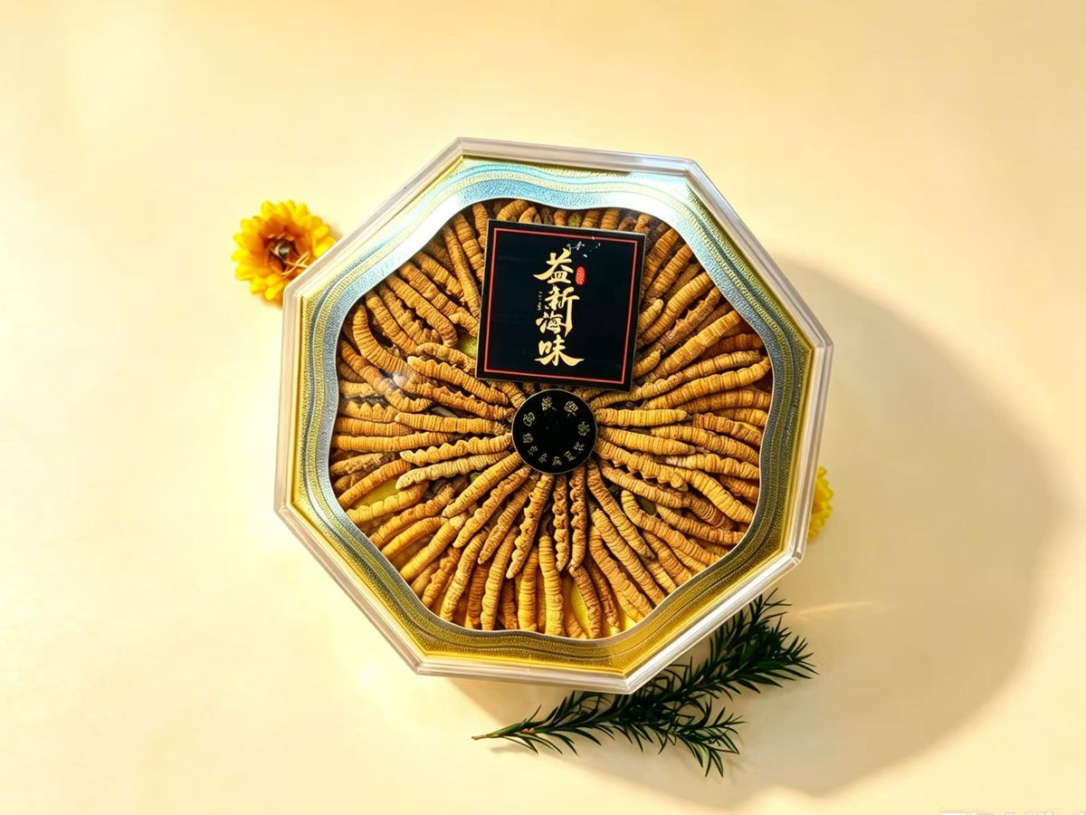 野生西藏那曲冬蟲夏草 - 六角形禮盒