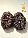 正南安鴨腎